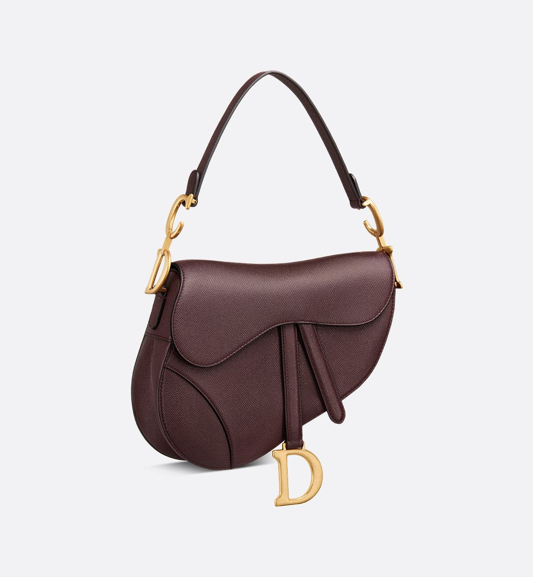 Dior Saddle Bag with Strap